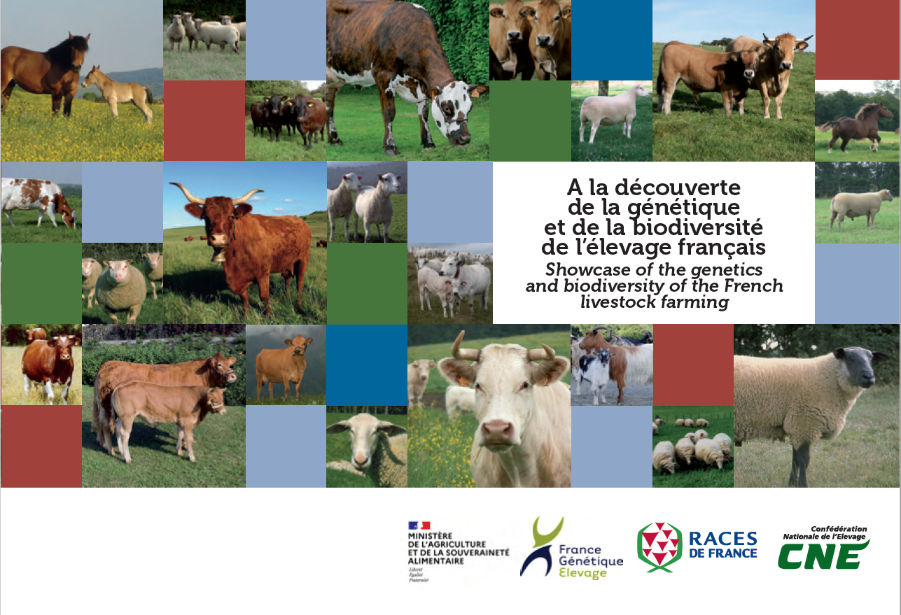 Génétique et Biodiversité de l'élevage